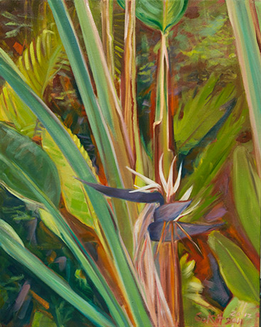 Entwined Rosedon Giant Strelitzia
